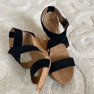 Cork Wedge